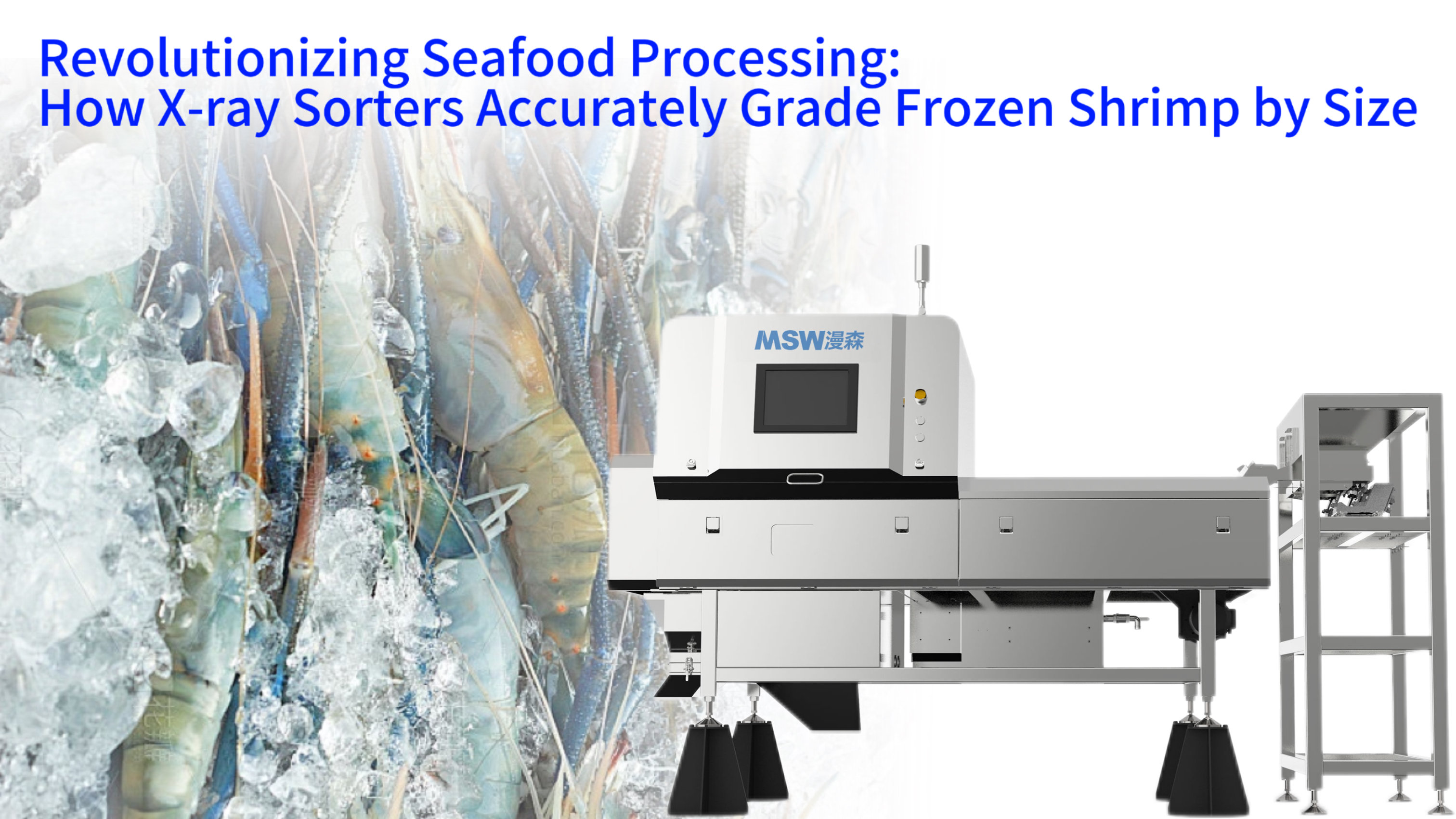 Revolutionizing Seafood Processing: How X-ray Sorters Accurately Grade Frozen Shrimp by Size