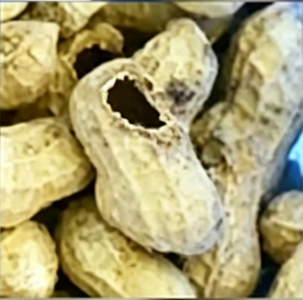 Damaged kernel