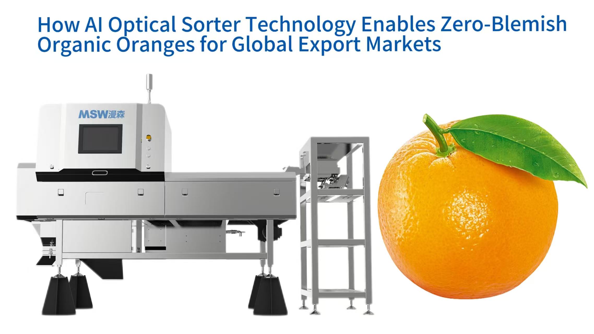 How AI Optical Sorter Technology Enables Zero-Blemish Organic Oranges for Global Export Markets