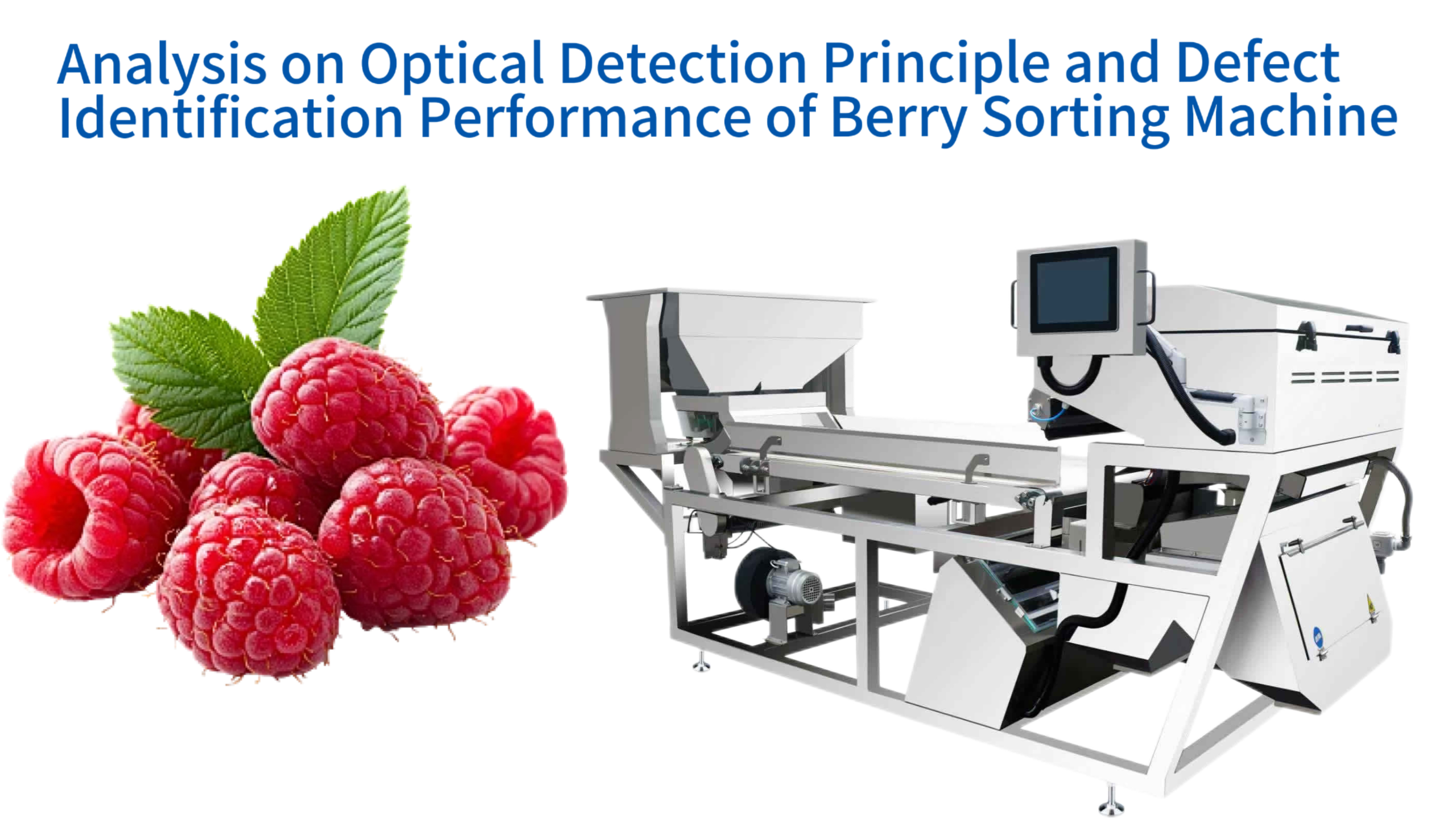 Analysis on Optical Detection Principle and Defect Identification Performance of Berry Sorting Machine