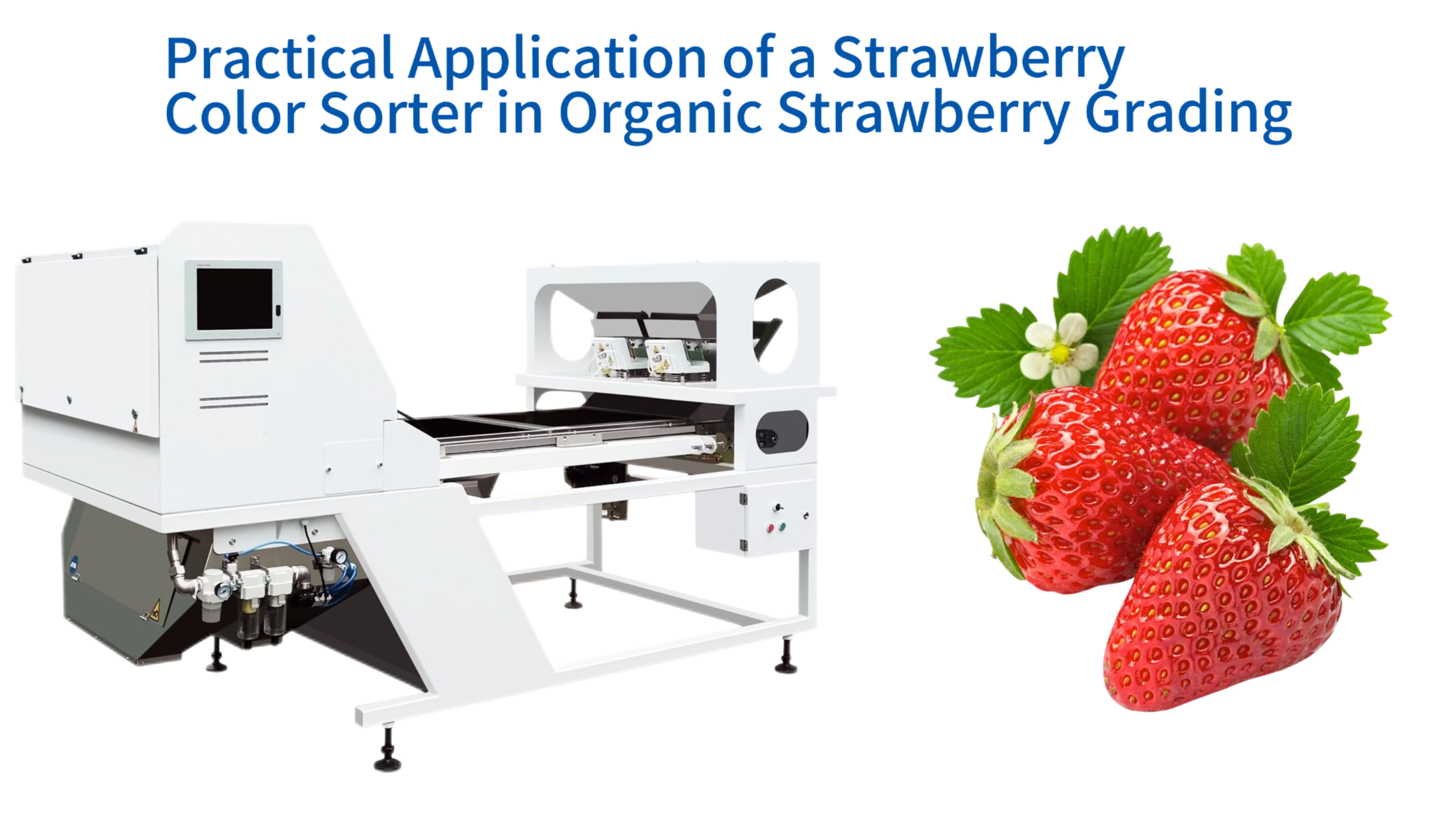 Practical Application of a Strawberry Color Sorter in Organic Strawberry Grading