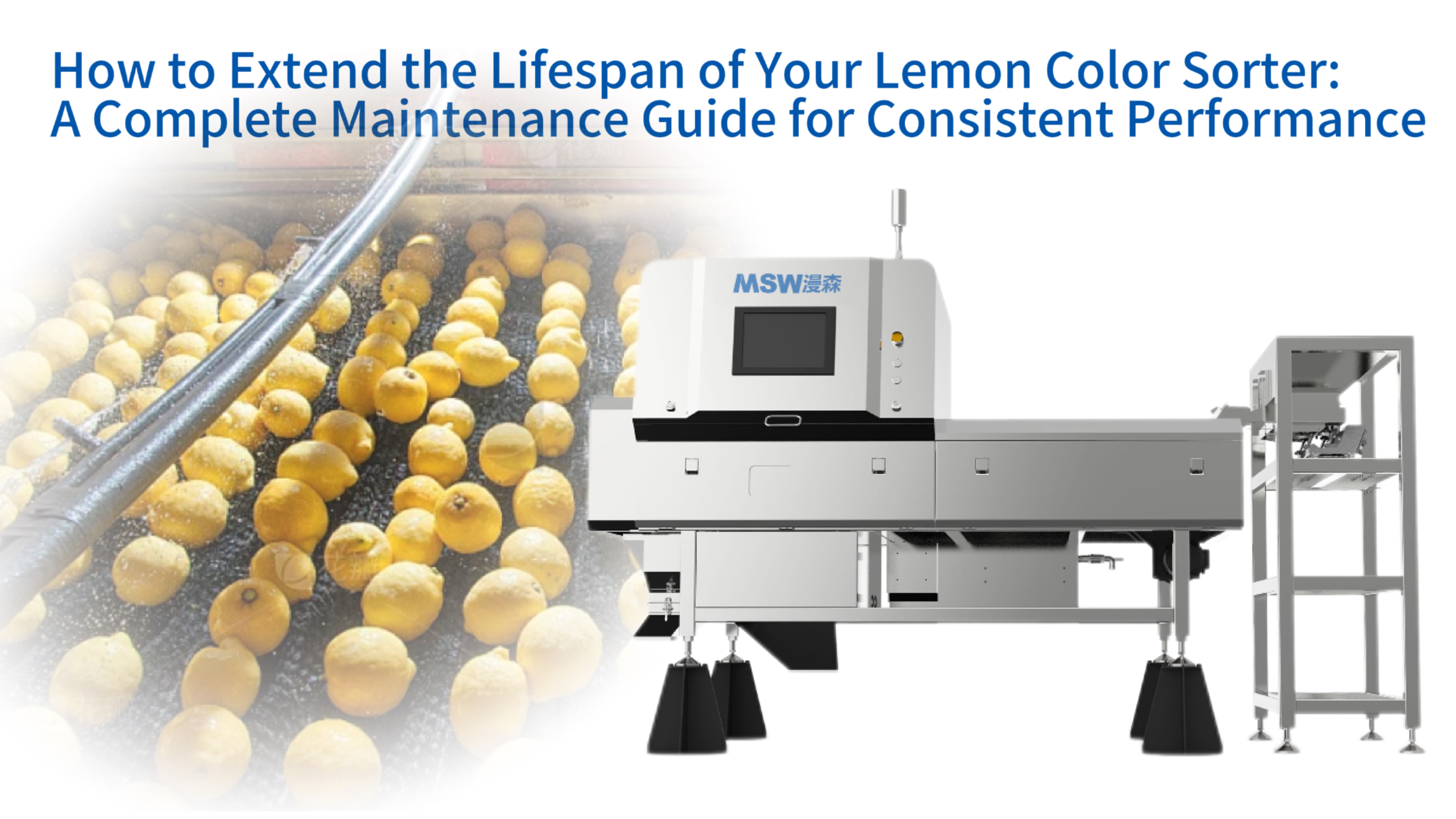 How to Extend the Lifespan of Your Lemon Color Sorter: A Complete Maintenance Guide for Consistent Performance