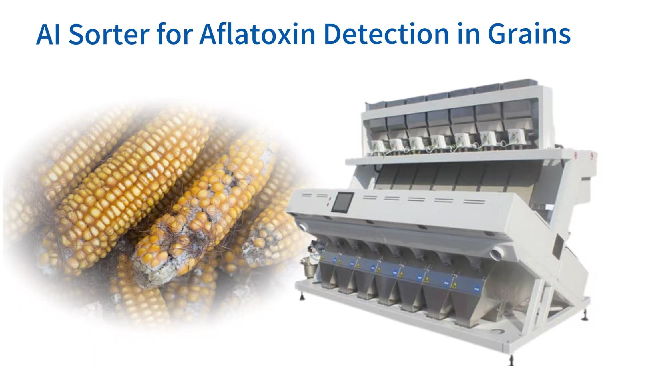 AI Sorter for Aflatoxin Detection in Grains