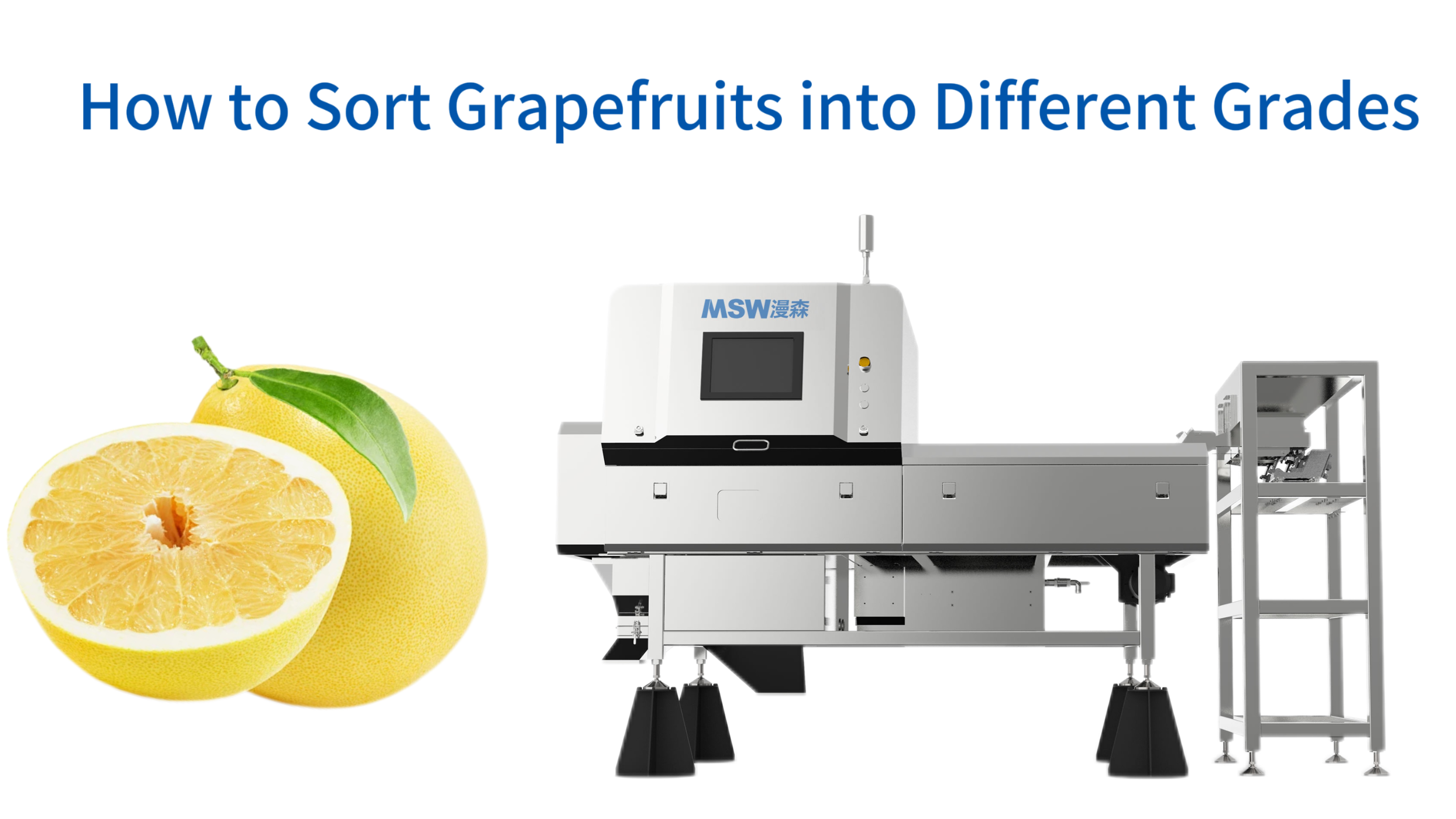 How to Sort Grapefruits into Different Grades: Complete Grading Standards and Sorting Technology