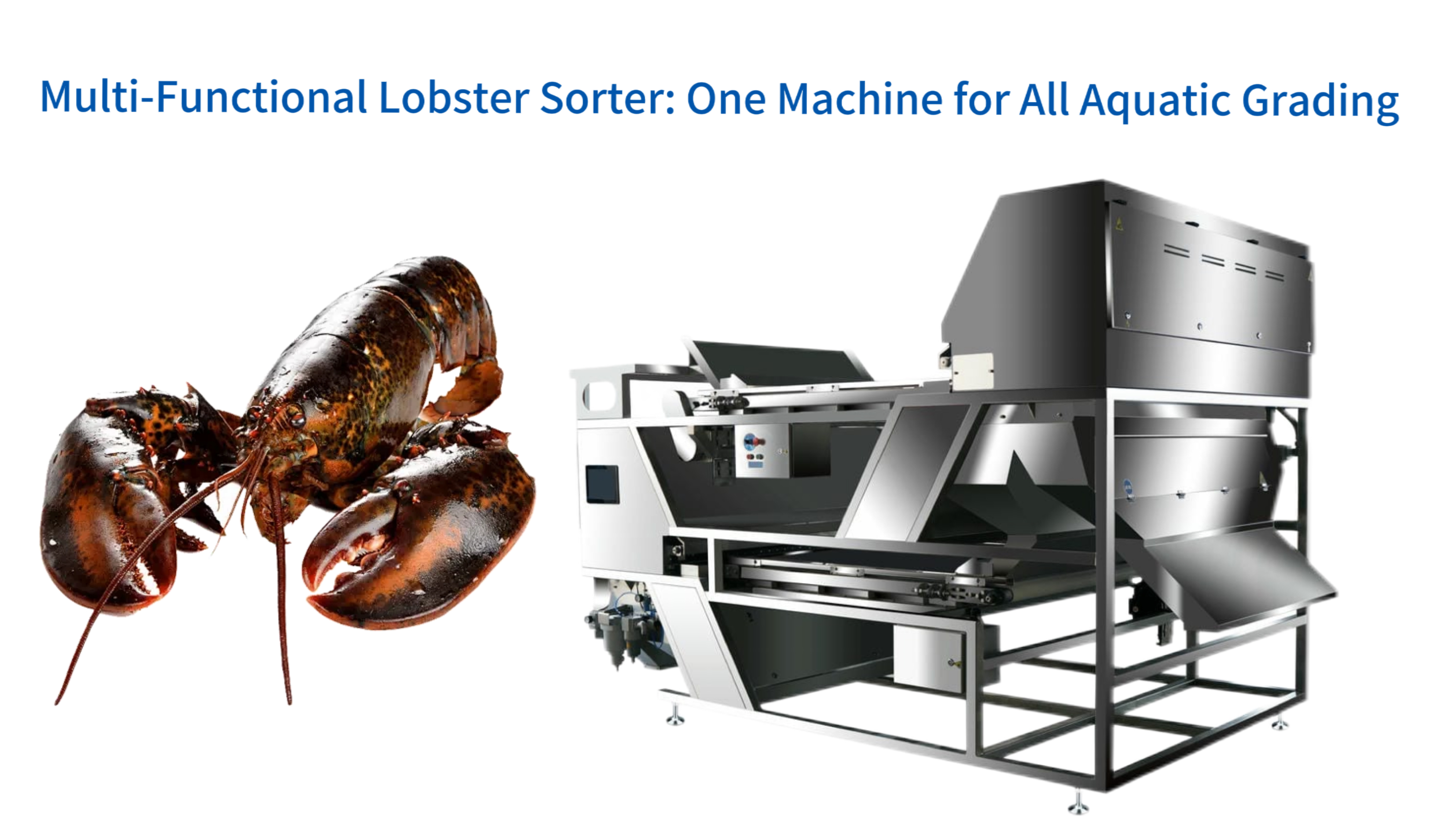 Multi-Functional Lobster Sorter: One Machine for All Aquatic Grading